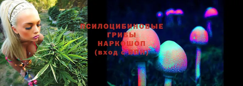 Галлюциногенные грибы Cubensis  Иланский 